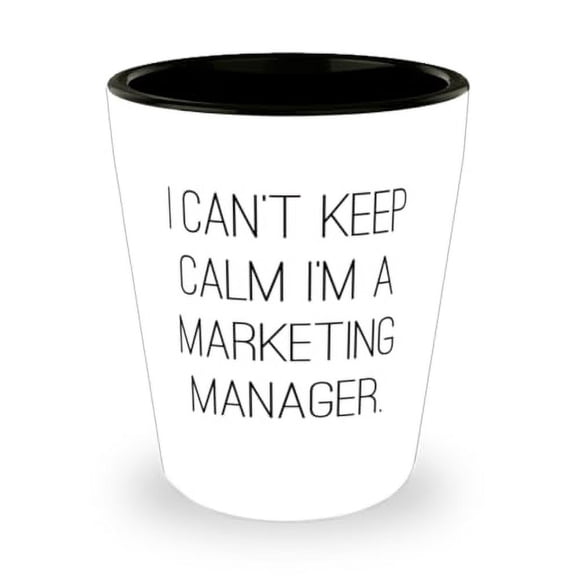 Inappropriate Marketing manager Shot Glass, I Can't Keep, Surprise Gifts for Coworkers from Team Leader, Birthday Unique Gifts, Gagmarketingmanagergift, Gag gift for marketing manager, Funny gag gift
