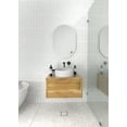 thumbnail image 1 of Inara 28 in. x 20 in. Pill Mirror, 1 of 9
