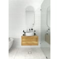 thumbnail image 1 of Inara 40 in. x 16 in. Pill Mirror, 1 of 9