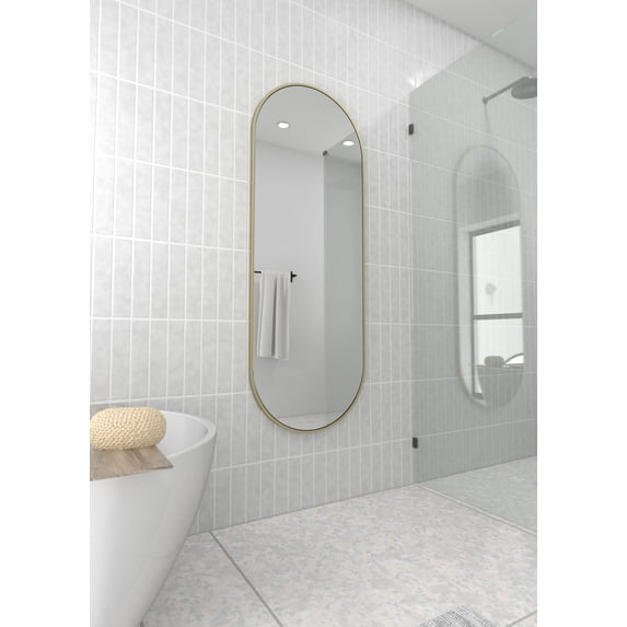 Inara 60 in. x 22 in. Pill Mirror