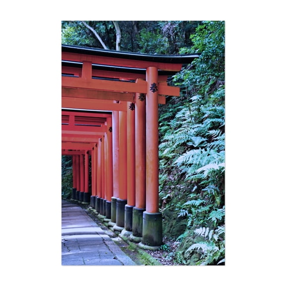 Inari Gates Galore - Fukakusa Yabunouchichō Kyoto Japan Photography Architecture Spiritual Religious Art Nature Travel Poster Woodland Unframed Wall Art Print 4 x 6 inches
