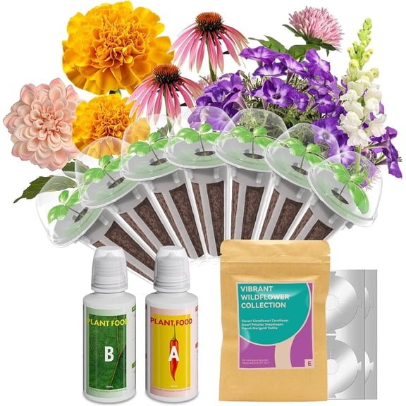 Inbloom Wildflower Seed Pod Kit for AeroGarden, inbloom Hydroponics Growing System (7-Pods)
