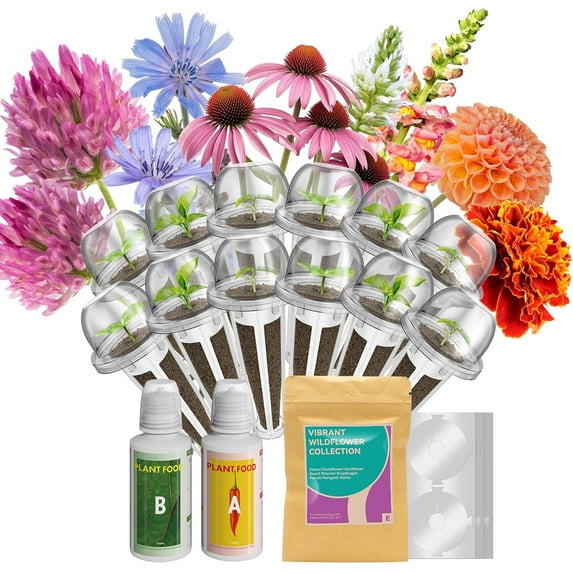 Inbloom Wildflower Seeds pod Kit for AeroGarden, IDOO, (12-pods)
