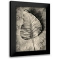 thumbnail image 1 of Incado 11x14 Black Modern Framed Museum Art Print Titled - Dried Leaf, 1 of 5