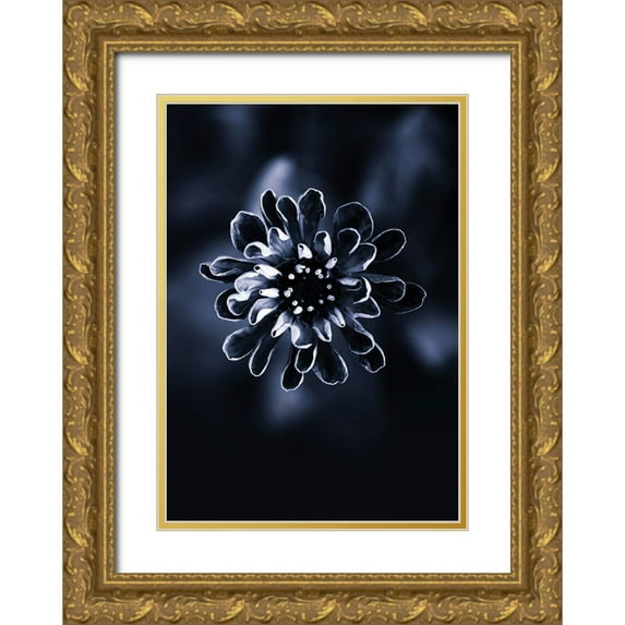 Incado 11x14 Gold Ornate Wood Framed with Double Matting Museum Art Print Titled - Flower Bloom 2
