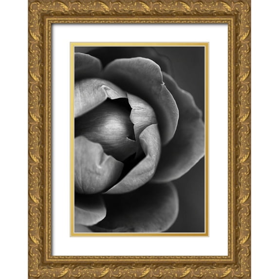Incado 11x14 Gold Ornate Wood Framed with Double Matting Museum Art Print Titled - Flower Bloom