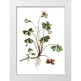 thumbnail image 1 of Incado 11x14 White Modern Wood Framed Museum Art Print Titled - Botanica II, 1 of 4