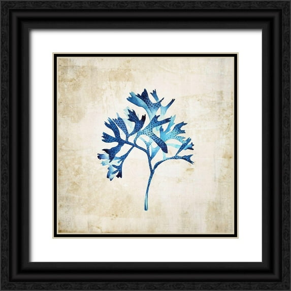 Incado 12x12 Black Ornate Wood Framed with Double Matting Museum Art Print Titled - Sea life I