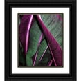 thumbnail image 1 of Incado 12x14 Black Ornate Wood Framed with Double Matting Museum Art Print Titled - Close up VII, 1 of 4