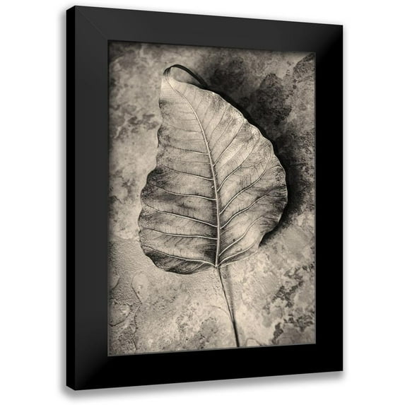 Incado 14x18 Black Modern Framed Museum Art Print Titled - Dried Leaf