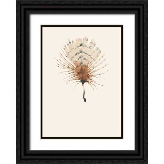 Incado 14x18 Black Ornate Wood Framed with Double Matting Museum Art Print Titled - Feather 06