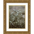 thumbnail image 1 of Incado 14x18 Gold Ornate Wood Framed with Double Matting Museum Art Print Titled - Poppy Pods, 1 of 4