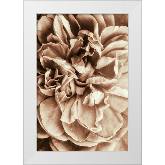 Incado 17x24 White Modern Wood Framed Museum Art Print Titled - Flower Bloom 3