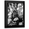 thumbnail image 1 of Incado 18x24 Black Modern Framed Museum Art Print Titled - B And W Flower 4, 1 of 5