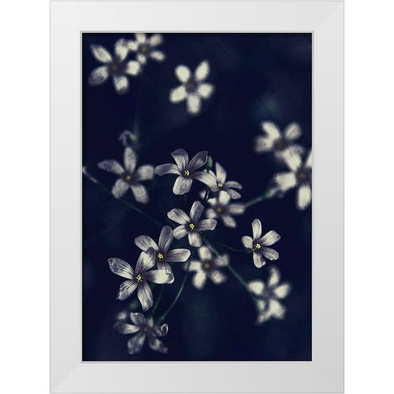 Incado 18x24 White Modern Wood Framed Museum Art Print Titled - Small Flowers