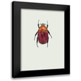 thumbnail image 1 of Incado 19x24 Black Modern Framed Museum Art Print Titled - Torynorrhina Flammea, 1 of 5