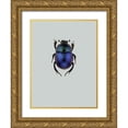 thumbnail image 1 of Incado 19x24 Gold Ornate Wood Framed with Double Matting Museum Art Print Titled - Trypocopris vernalis, 1 of 4
