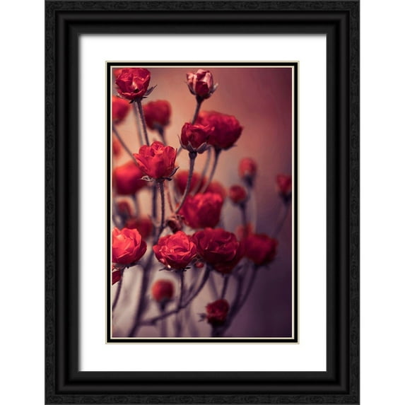 Incado 23x32 Black Ornate Wood Framed with Double Matting Museum Art Print Titled - Red Flowers