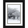thumbnail image 1 of Incado 23x32 Black Ornate Wood Framed with Double Matting Museum Art Print Titled - Winter Storm, 1 of 4