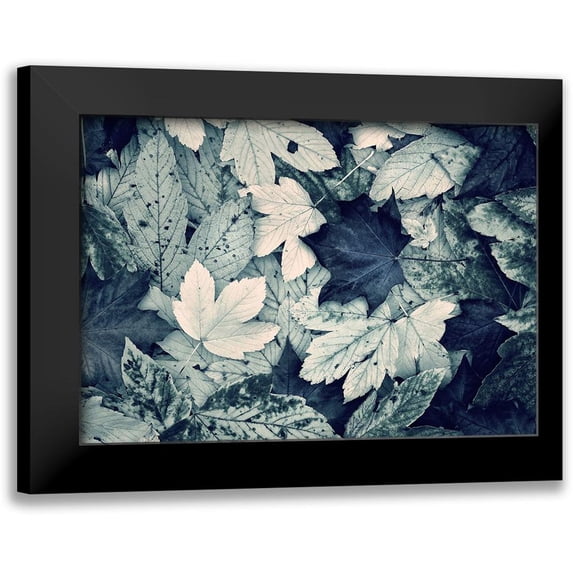 Incado 24x18 Black Modern Framed Museum Art Print Titled - Forest Floor
