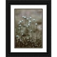 thumbnail image 1 of Incado 24x32 Black Ornate Wood Framed with Double Matting Museum Art Print Titled - Poppy Pods, 1 of 4