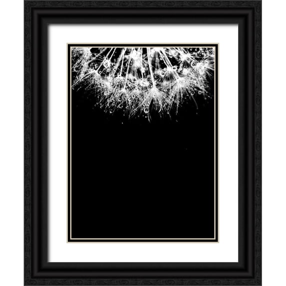 Incado 25x32 Black Ornate Wood Framed with Double Matting Museum Art Print Titled - Crystal II