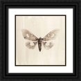 thumbnail image 1 of Incado 26x26 Black Ornate Wood Framed with Double Matting Museum Art Print Titled - Sepia Moth, 1 of 4