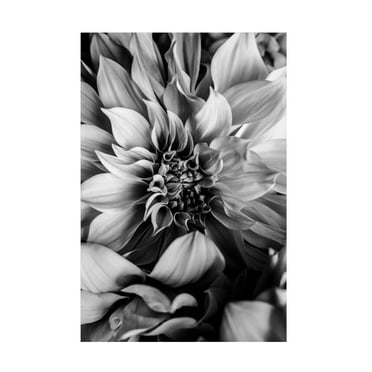 Incado 'Black and White 4' Canvas Art