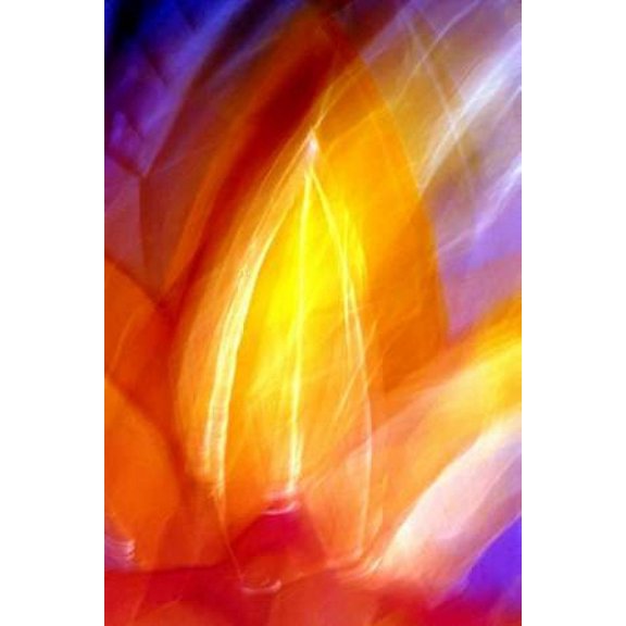 Incandescence Poster Print by Douglas Taylor (12 x 18)