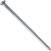 Inch Bright Common Nail (8D) 5 Pounds ~445 Nails. Good For General Construction Projects