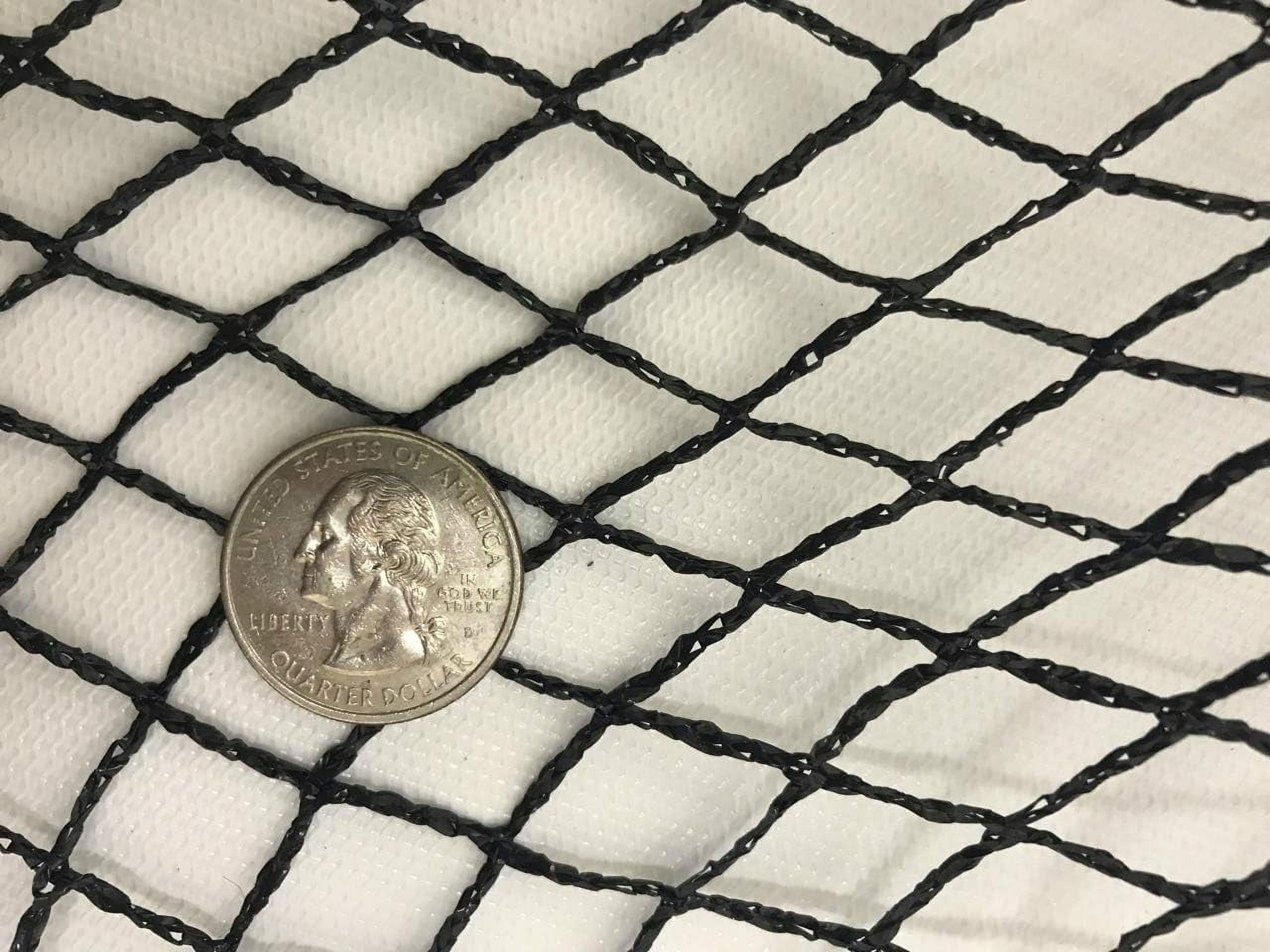 Inch Quality Pond & Garden Netting 20x100 Feet Keeps Out Debris