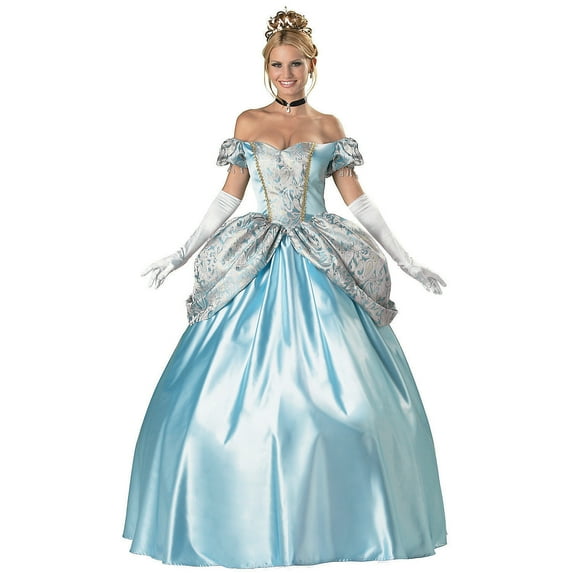Incharacter Costumes Womens Enchanting Princess Dress Costume - Size Large