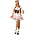 thumbnail image 1 of Incharacter Costumes Womens Gasthaus Server Dress Costume - Size Medium, 1 of 2