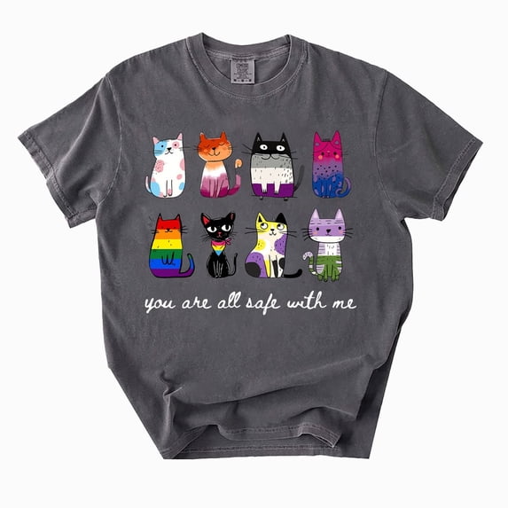 Inclusive Pride T-Shirt, You Are All Safe With Me Cat Graphic Tee, LGBTQ Ally Multi Flag Queer Apparel Gift