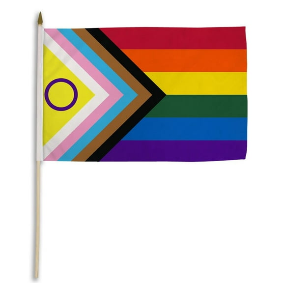 Inclusive Progress Pride 12x18in Stick Flag