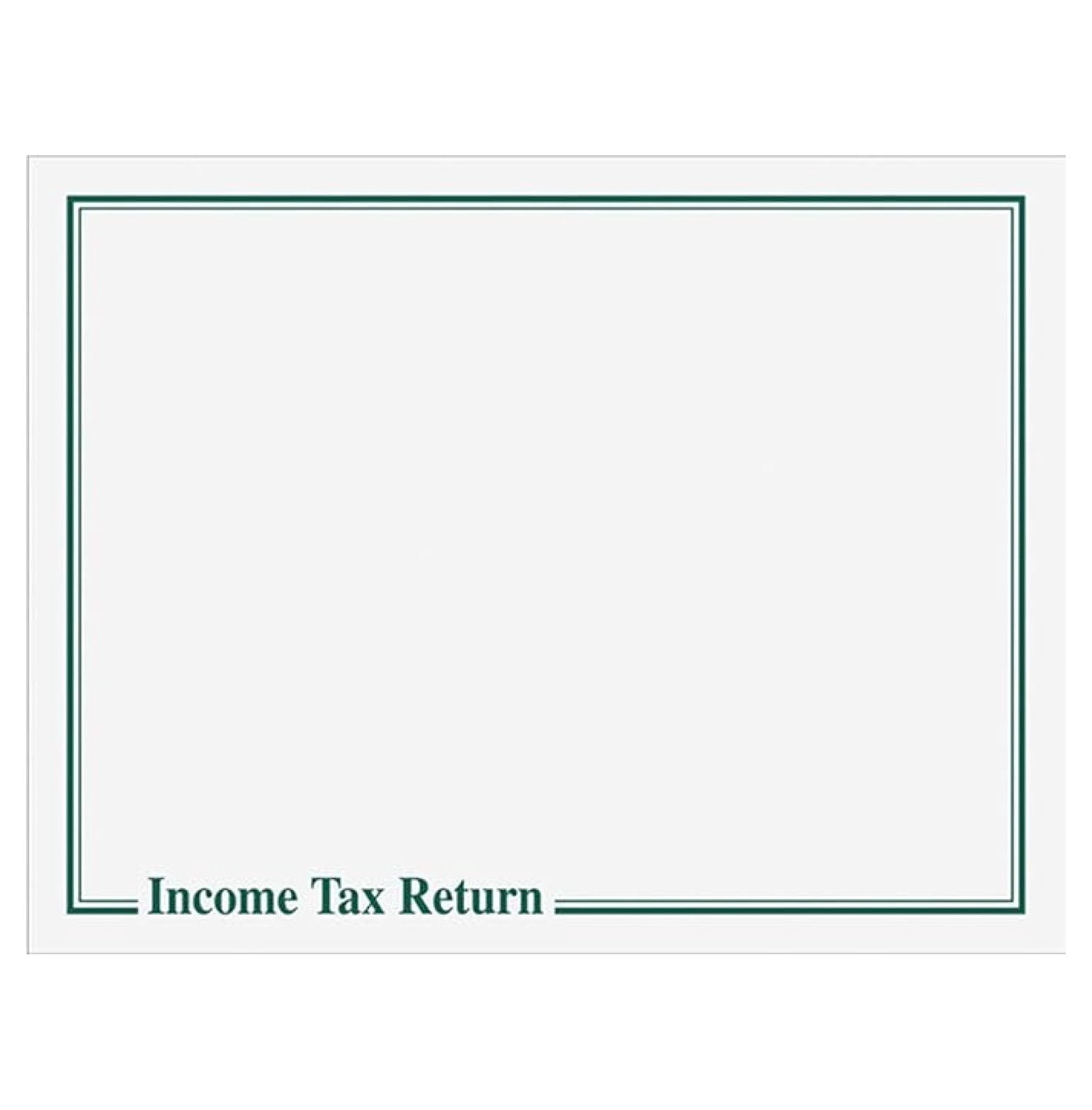 Income Tax Return Delivery Envelopes 13x10 Green Heavy Duty for Office Accounting Document Mailing Packaging 100 Pack