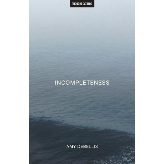 Incompleteness (Paperback)