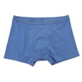 thumbnail image 1 of Incontinences Underwear for Men Cotton Leak Proof Boxers Briefs for Daily Bladder Leakage Adults Men Urinary Panties, 1 of 8