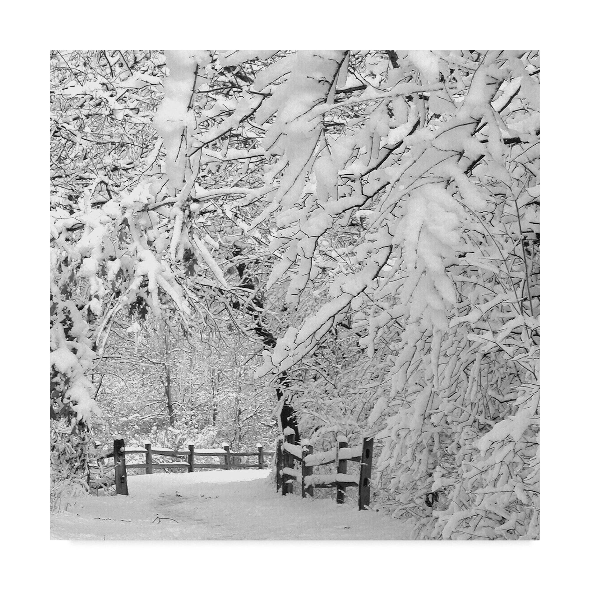 Winter Wonderland White Canvas Art Print, 14x14