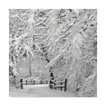 thumbnail image 1 of Incredi 'Winter Wonderland White' Canvas Art, 1 of 4