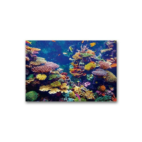 Incredible Coral Reef Scenery Poster -Image by Shutterstock