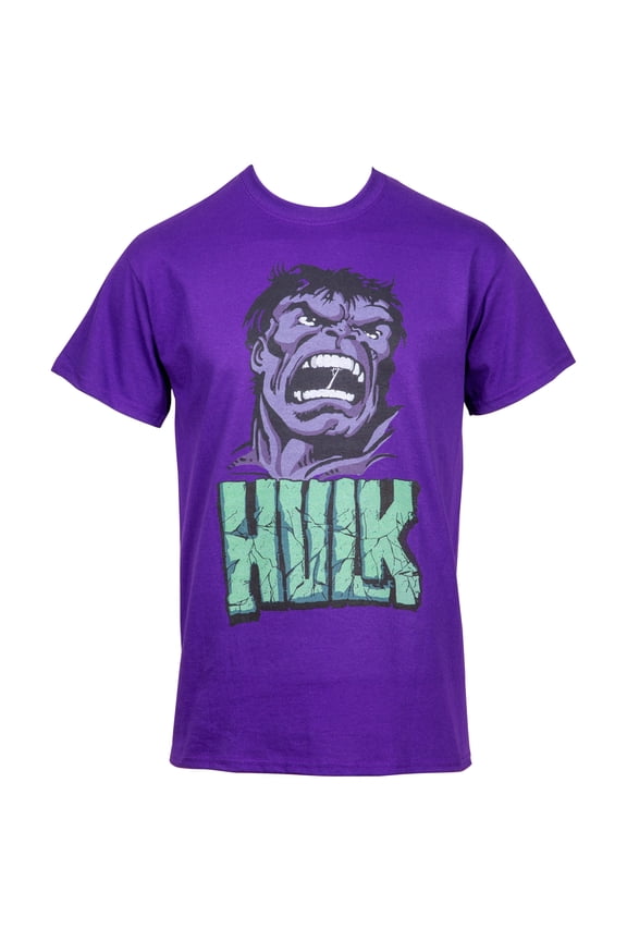 Incredible Hulk 810343-small Attack Mens T-Shirt, Purple - Small