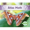 thumbnail image 1 of Incredible Insects Atlas Moth, (Hardcover), 1 of 1