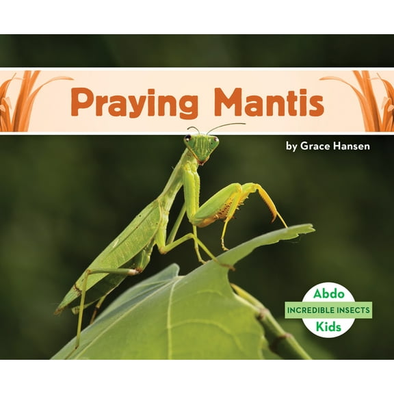 Incredible Insects Praying Mantis, (Hardcover)