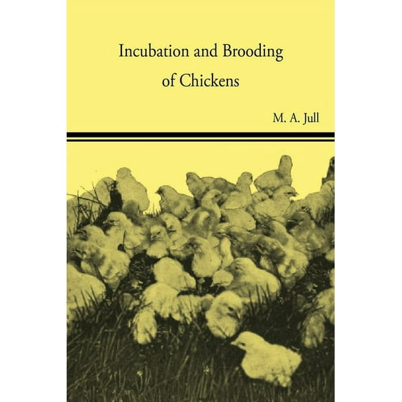 Incubation and Brooding of Chickens, (Paperback)
