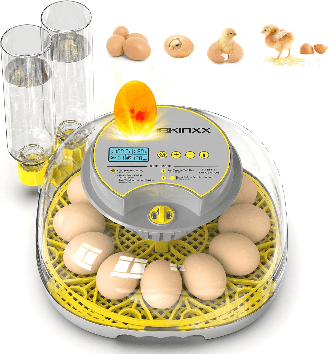 Incubator for Hatching Eggs-12 Egg Capacity, Automatic Egg Turner, Temperature & Humidity Control, 360 Viewing for Chicken, Duck and Quail Eggs