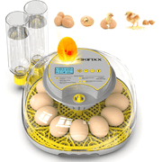 Incubator for Hatching Eggs-12 Egg Capacity, Automatic Egg Turner, Temperature & Humidity Control, 360° Viewing for Chicken, Duck and Quail Eggs
