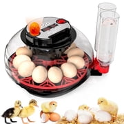 Incubator with Automatic Egg Turning and Humidity Control, Incubators for Hatching Eggs, Chicken, Ducks, Goose, Pigeon, Quail, Parrot Incubator for Farm, Lab, Science Classroom, Home