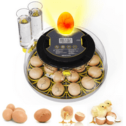 Incubator for Hatching Eggs-18 Egg Capacity, Automatic Egg Turner, Temperature & Humidity Control, 360  Viewing for Chicken, Duck and Quail Eggs