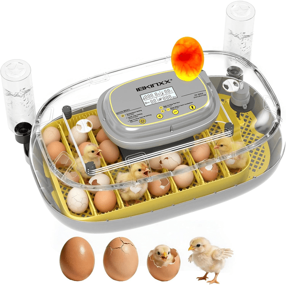 Incubator for Hatching Eggs-24 Egg Capacity, Automatic Egg Turner, Temperature & Humidity Control, 360 Viewing for Chicken, Duck and Quail Eggs